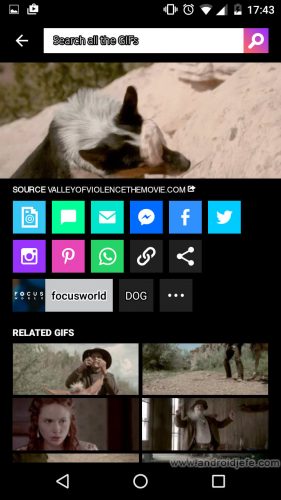 Download animated GIF images for WhatsApp on GIPHY - HowAndroidHelp.com