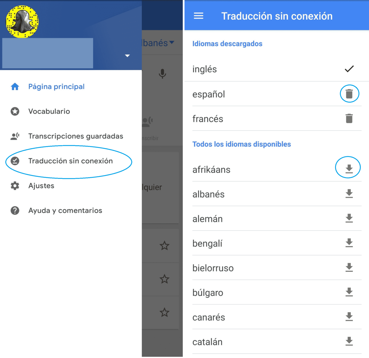 how-to-download-languages-for-google-translate-1
