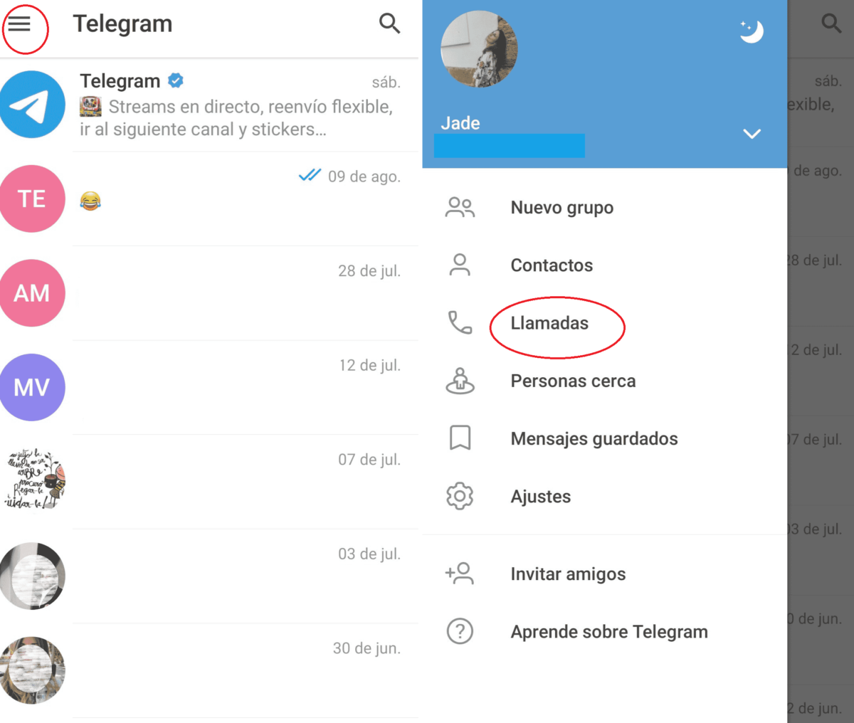 What Does Connecting Mean On Telegram