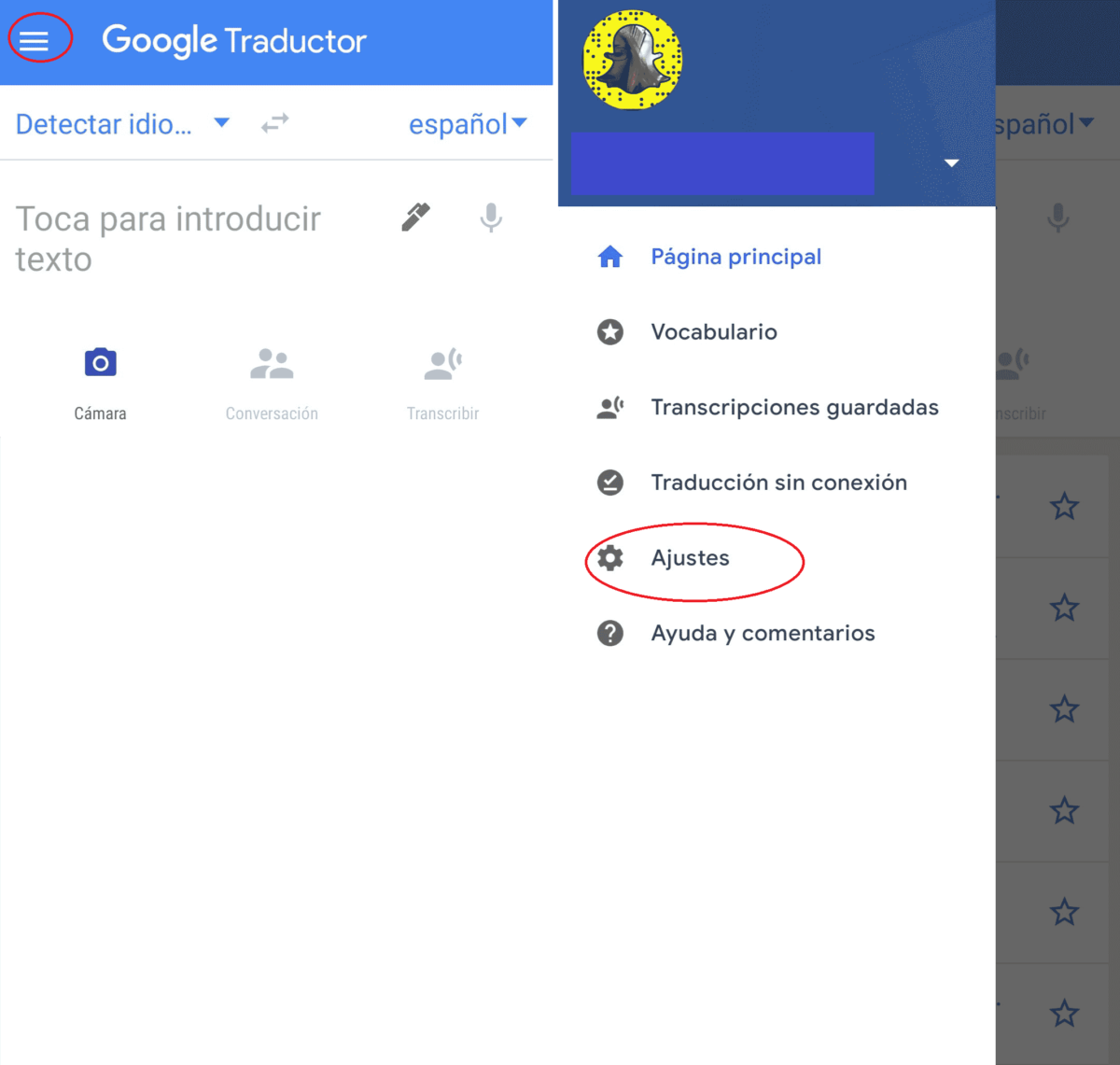 google-translator-settings