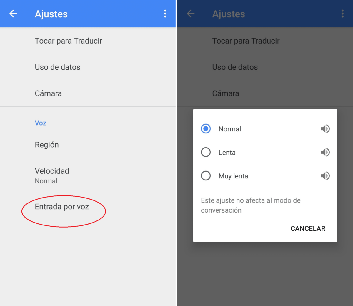 how-to-activate-voice-in-google-translator