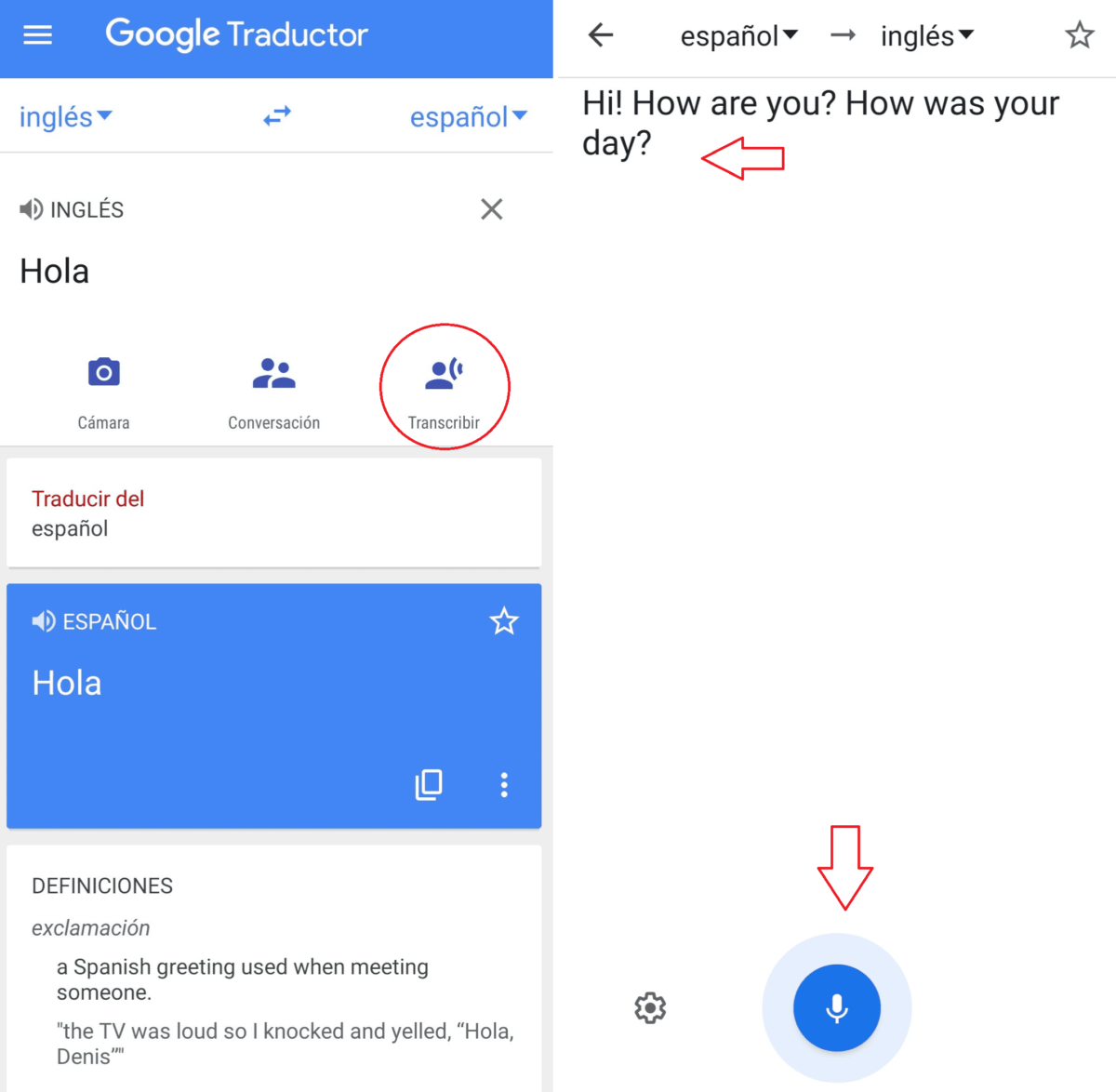 the-google-translator-settings-you-should-know