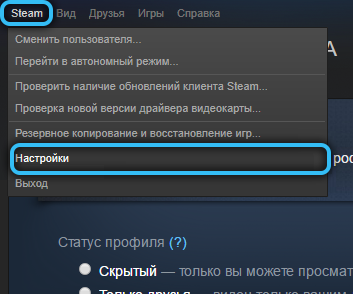 Go to Settings on Steam