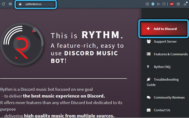 Downloading the Rhythm bot