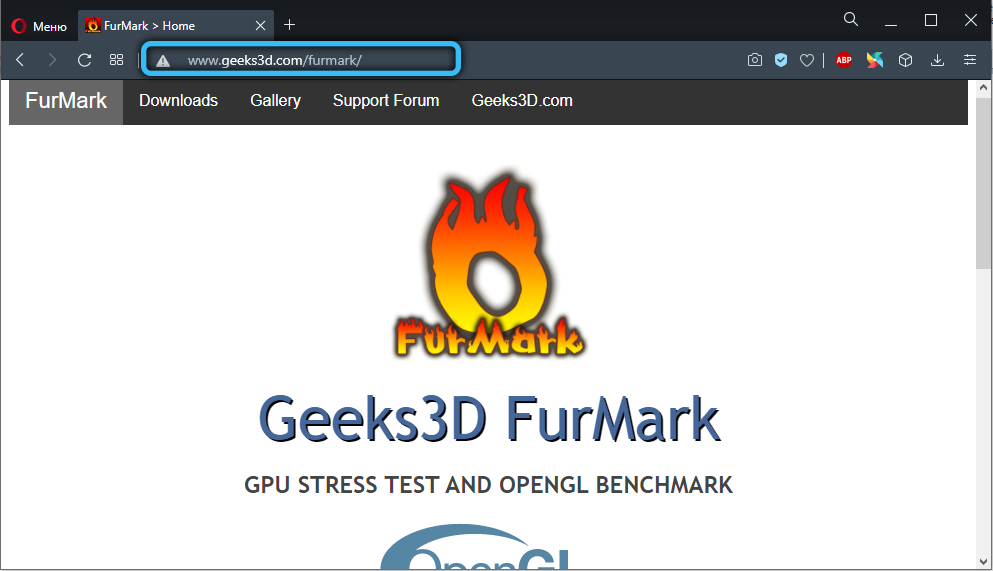 The official site of the FurMark program developers