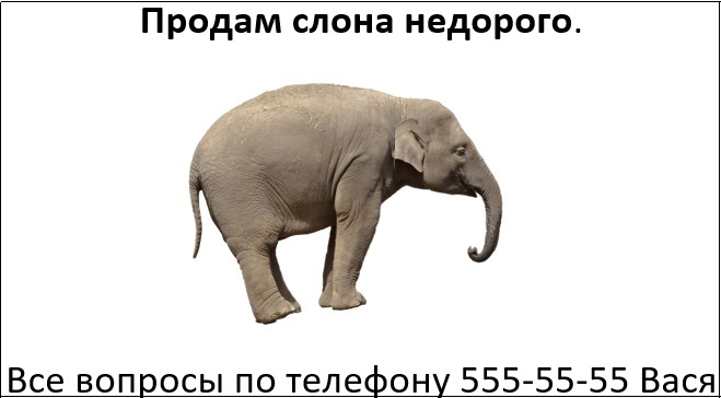 Elephant ad