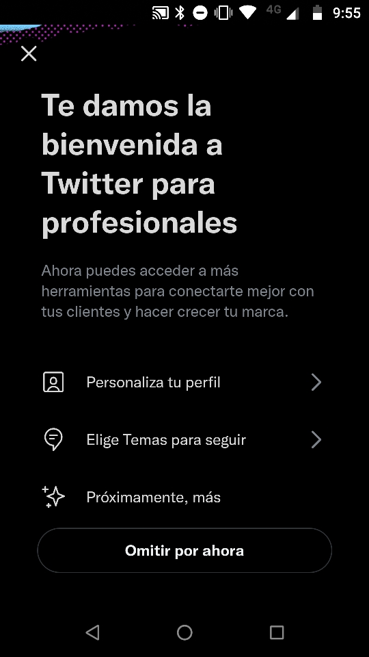 How to make your Twitter account professional 2