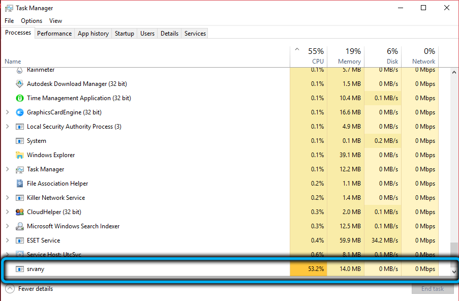 srvany.exe in Task Manager