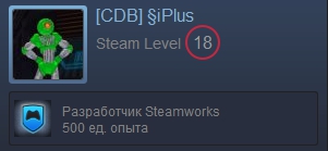 Developer Steamworks