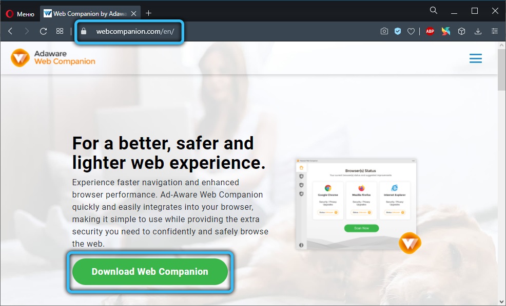 Downloading Web Companion