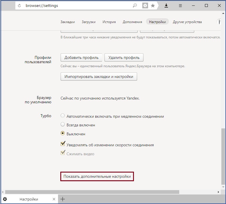 Additional settings in Yandex.browser