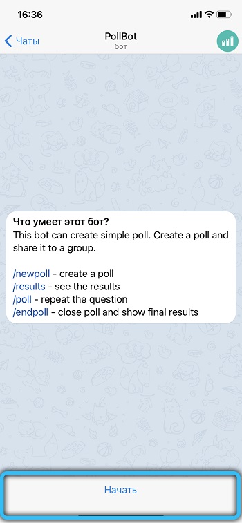 Launching the PollBot bot