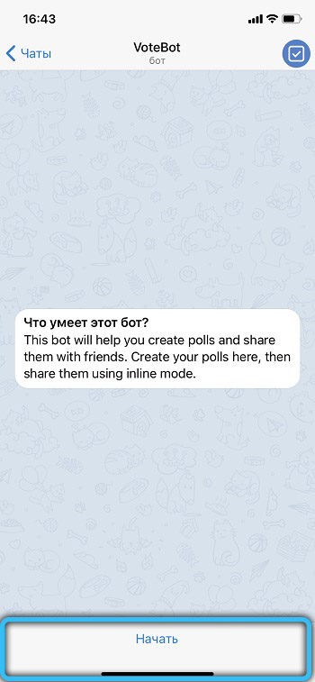 Votebot bot launch