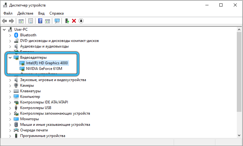 Video adapters in Device Manager