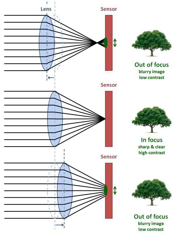How contrast autofocus works