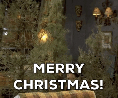 The best GIFs to congratulate Christmas on WhatsApp 11