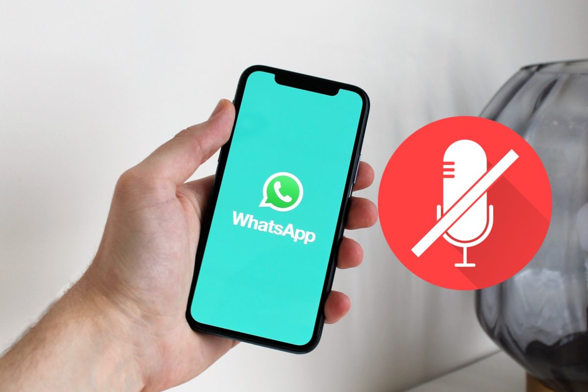 My microphone does not work in WhatsApp video call
