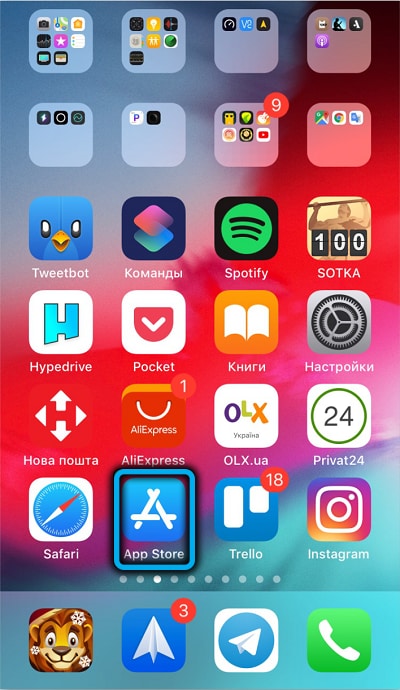 AppStore on the iPhone desktop