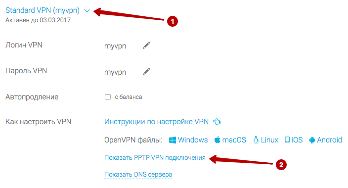 PPTP server list, VPN login and password in Windows 8