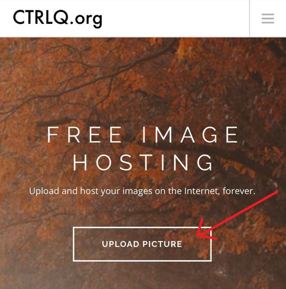 Search by image in CTRLQ