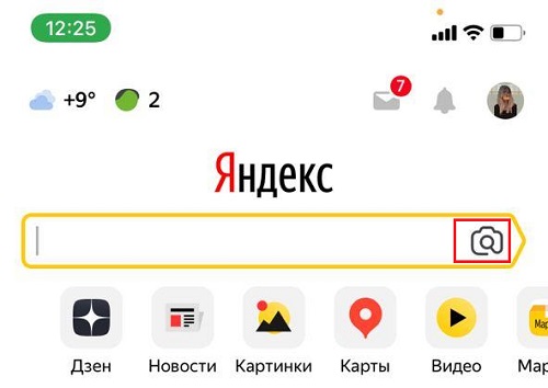 Search by image in the Yandex application