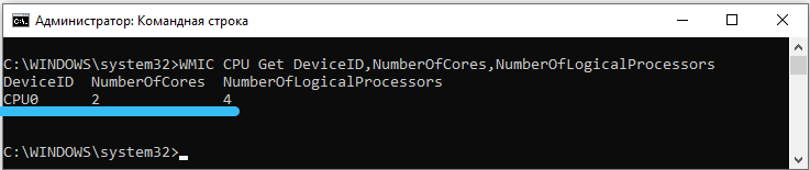 Number of processor cores on the command line