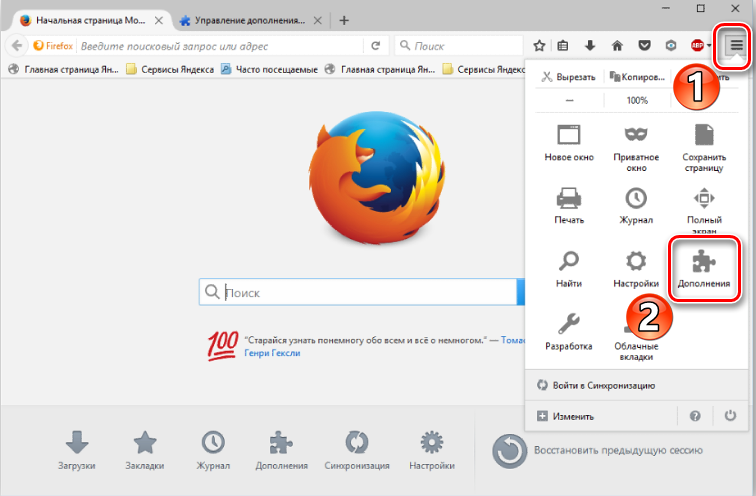 Go to add-ons in the Mozilla browser
