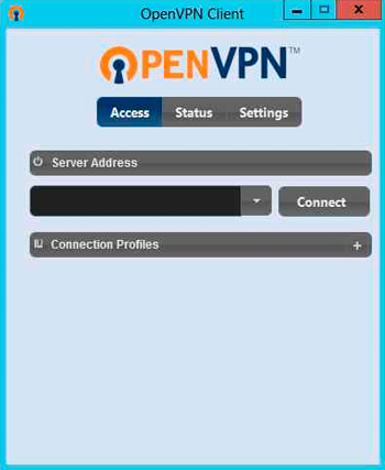 Open VPN