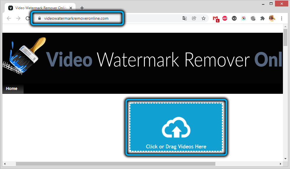 Video Watermark Remover Online Service