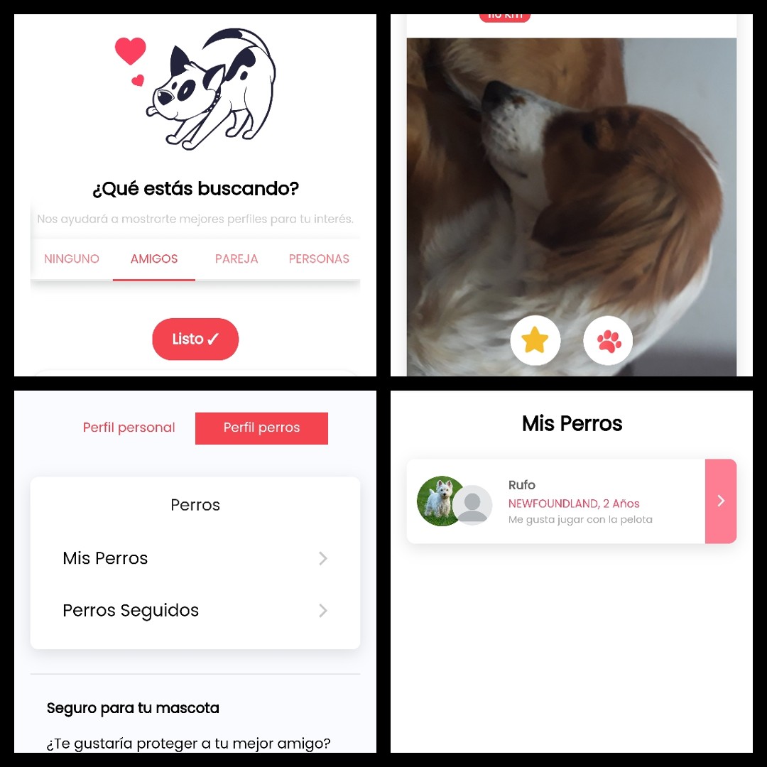 This is the Tinder for dogs with which to find a partner in Spain 1