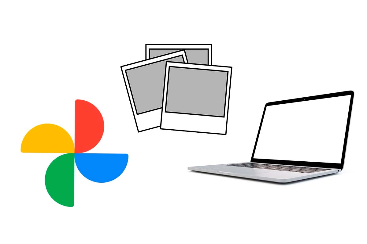How to download all photos from Google photos to my PC 1