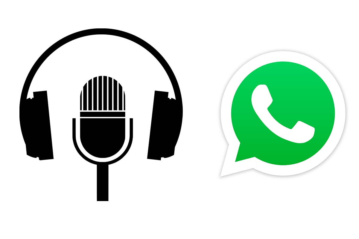How to change the voice in WhatsApp audios 1