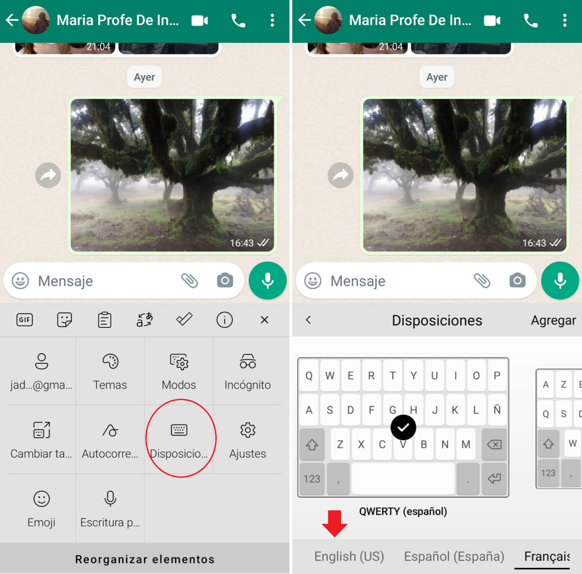 How to change the language on the WhatsApp keyboard